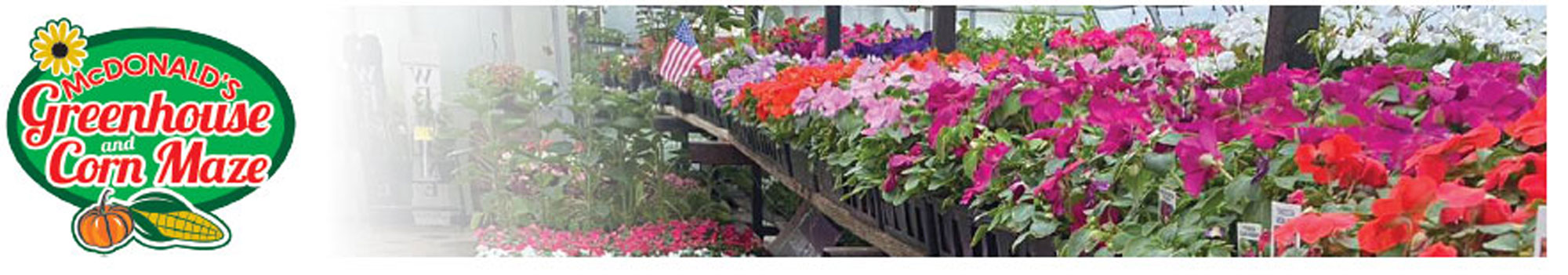 Muskingum County Center For Seniors Flower Sale